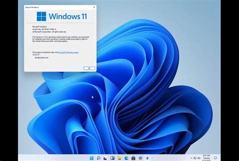 Windows 11 Iso Disk Image