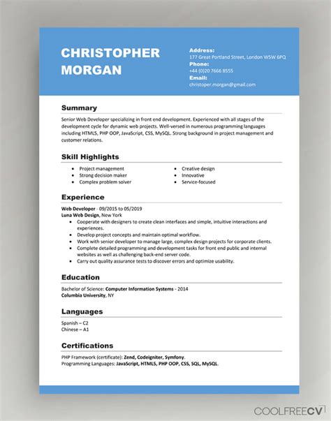 Here you will find the professional cv format in ms word doc which you can free download free maximum possible chances of getting the job you apply to make the resume you submitted. CV Resume Templates Examples Doc Word download