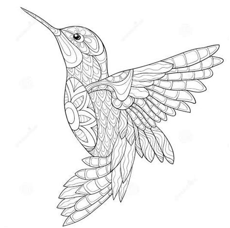 Colibrí Mandala Bird Coloring Pages Hummingbird Colors Bird Drawings