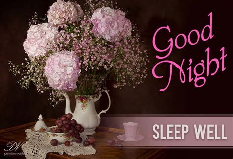 Sleep Well Stay Home Good Night Premium Wishes