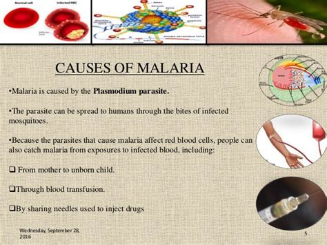 How the parasite causes disease. MALARIA