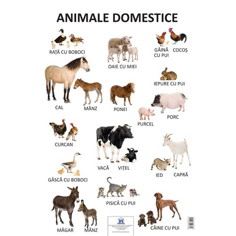 Fisa de lucru animale si pui lor. Plansa Animale Domestice