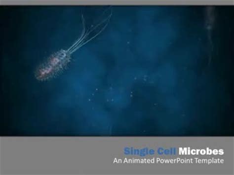 It could also be used as a background for talk about a virus. Microbes - A PowerPoint Template from PresenterMedia.com
