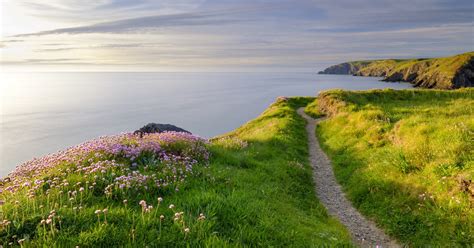 Enchanting coastal cottages in northumberland. Pembrokeshire Coast Path Holiday Cottages for perfect ...