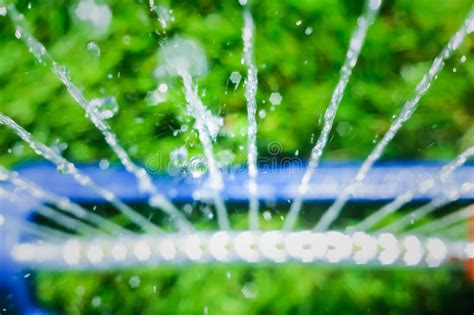 Lawn Sprinkler Spaying Water Over Green Grass Stock Photo Image Of
