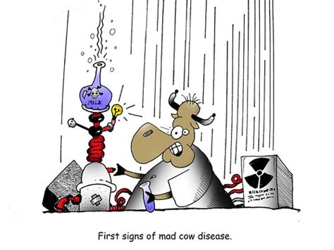 Mad Cow Disease Garrette Flickr