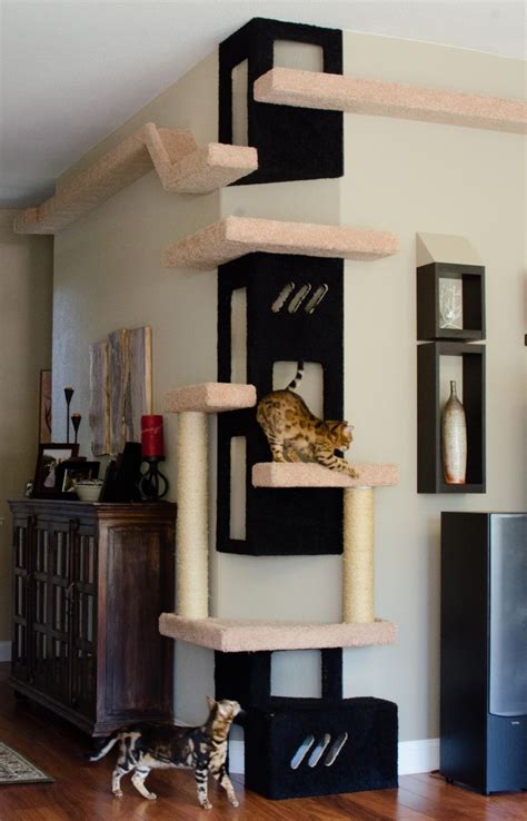 See more of architecture & design on facebook. Cat Furniture and Decor Ideas That You Will Immediately ...
