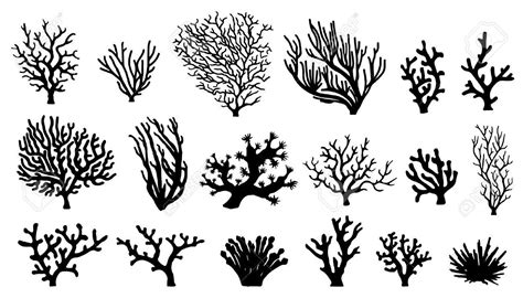 Pin By Skyler Pearson On Medical Herb Coral Tattoo Art Silhouette