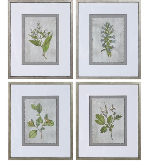 Uttermost 33690 Stem Study Framed Prints Set Of 4