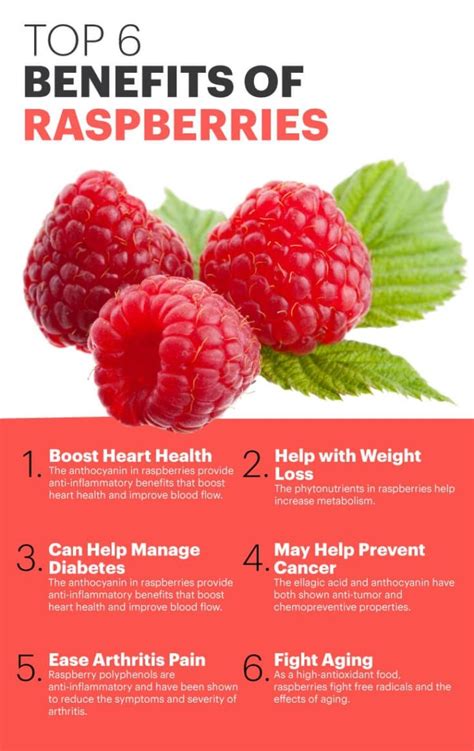 14 Tremendous Benefits Of Raspberries You Must Know My Health Only