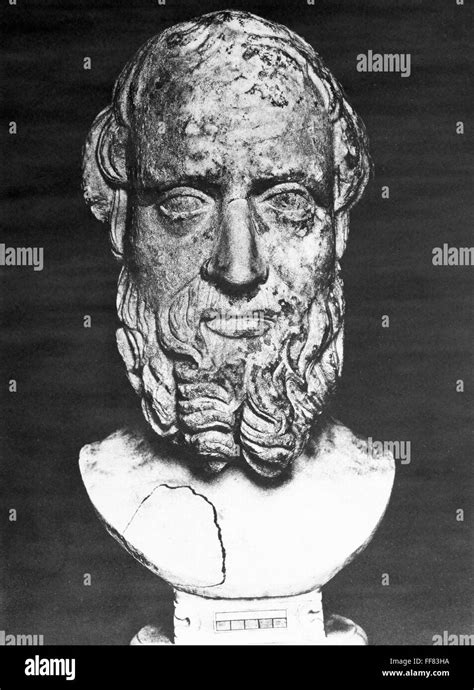 Herodotus 5th Century Bc Ngreek Historian Marble Bust 3rd 1st