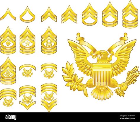 Set Of Military American Army Enlisted Rank Insignia Icons Stock Vector