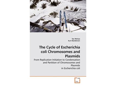 The Cycle Of Escherichia Coli Chromosomes And P Em Promoção é No Buscapé