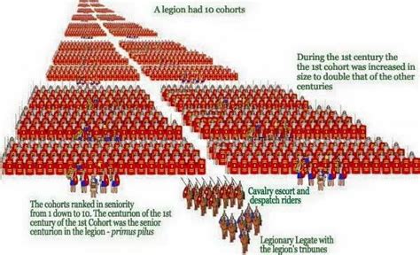Roman History On Twitter Roman Legion Roman History Rome History