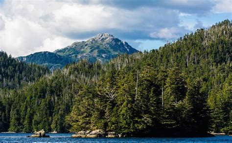 Tongass National Forest Juneau 2021 All You Need To Know Before You