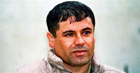 Capturaron Al Chapo Guzmán El Narco Más Buscado Del Mundo Infobae
