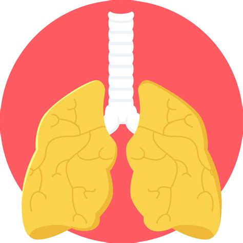 Lungs Lung Vector Svg Icon Svg Repo