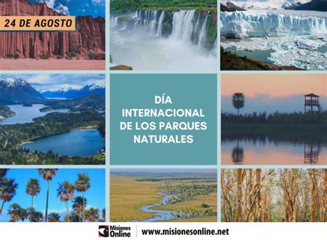 Audoeno (obispo) tiene 236 votos. Día Internacional de los Parques Naturales: ¿por qué se ...