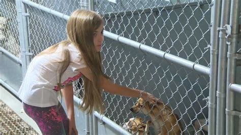 City of stockton animal shelter, stockton, california. Instead of birthday presents, girl gives to Stockton ...