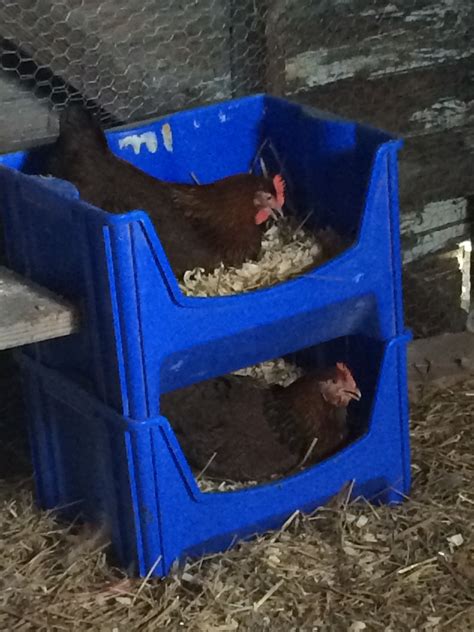 Nesting boxes from plastic bins. Girls seem to love it! | Chicken cages