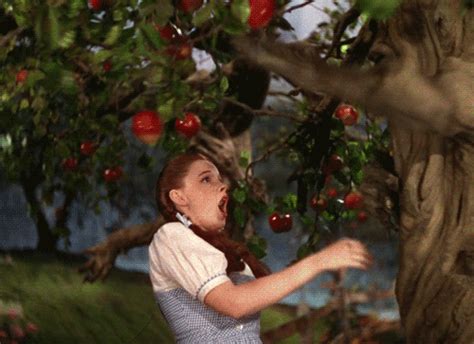  De Manzanas 100 Imágenes Animadas De Estas Maravillosas Frutas