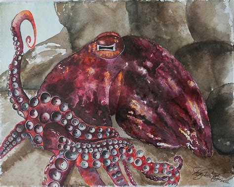 The Giant Pacific Octopus Octopus Painting By Jacqueline Bonciolini