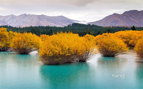 50 New Bing Photos For Wallpapers