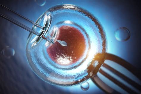 The Availability Of Assisted Reproductive Technologies For Single