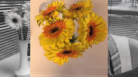 So that was my excuse for needing fresh flowers around the house. Homegrown | Keep Your Cut Flowers Fresh for Longer - YouTube