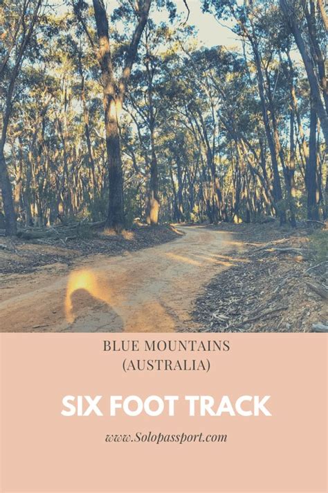 The Six Foot Track Complete Guide Solopassport Raksha Nagaraj