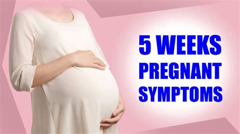 5 Weeks Pregnant Symptoms Early Signs Of Pregnancy Baby Size
