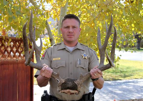 Dwr Launches Massive Patrol Effort Against Deer Poaching Cedar City News