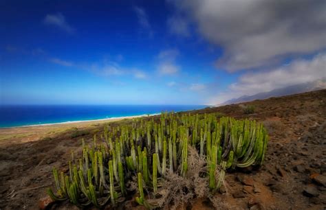 Weather In The Canary Islands In January 2021 Climate Temperature