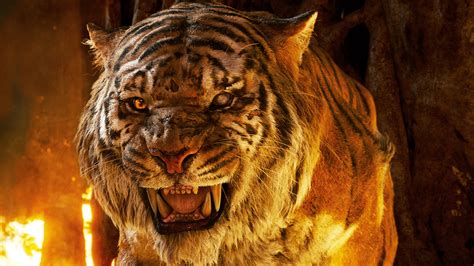 2560x1440 The Jungle Book Tiger 5k 1440p Resolution Hd 4k Wallpapers
