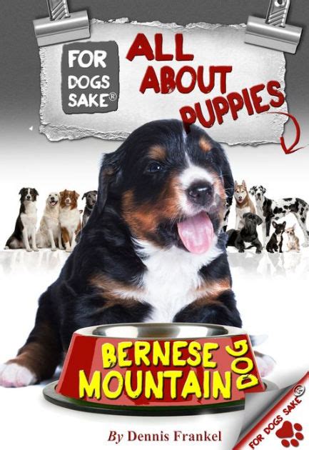 All About Bernese Mountain Dog Puppies By Dennis Frankel Nook Book