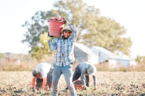 The Truth About Agriculture And Farmworkers N C Cooperative Extension