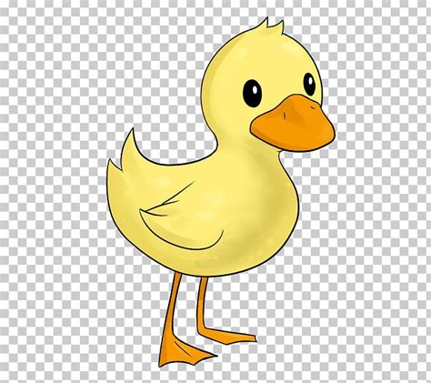 Donald Duck Png Clipart Beak Bird Blog Cartoon Clip Art Free Png