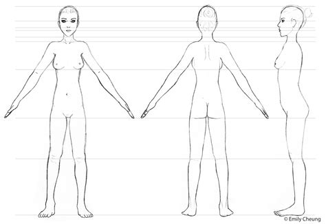 Female turnaround | Female turnaround, Body references, Character sheet
