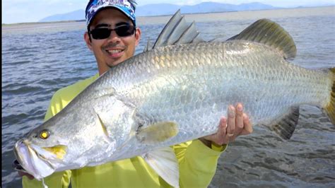 Giant Barramundi Fishing In Burdekin River Queensland Australia Youtube