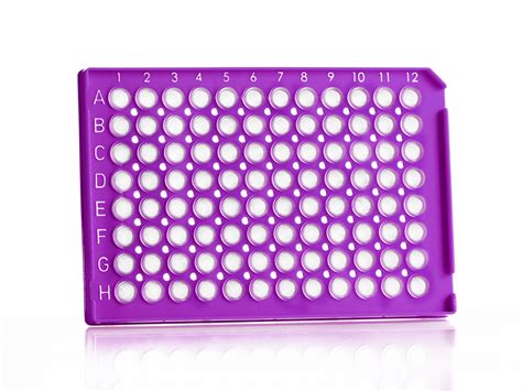 This pcr introduction will demonstrate that pcr is a fundamental technique used to amplify fragments of dna, frequently using the taq polymerase to. FrameStar® 96well PCR Plates, Strips & Tubes 2021