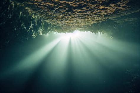 Premium Photo Stalactites On Ceiling In Sea Underwater Cave
