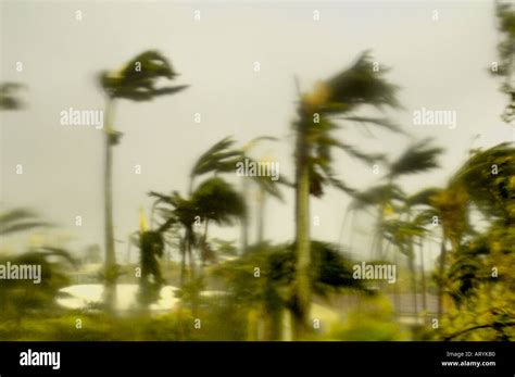 Storm Winds Blowing Trees Hi Res Stock Photography And Images Alamy