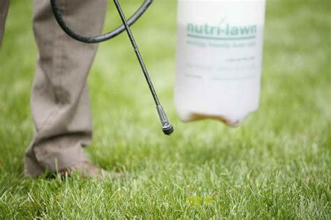 Turf Broadleaf Weed Spray Lawn Care Plus Inc
