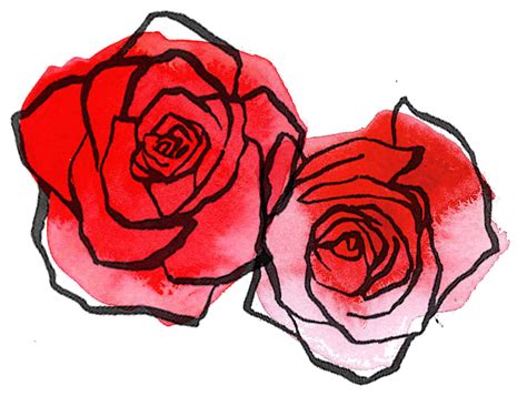 Roses Drawing