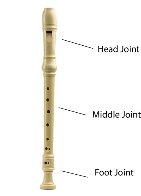 Flute Vs Recorder A Guide To The Differences