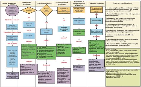 Algorithm To Guide Integrated Physiologic Management Of Neonatal