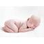 Maternity Newborn & Baby Gallery
