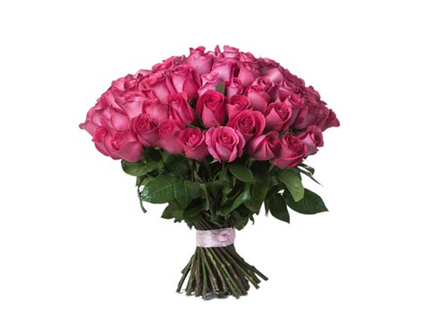 Vector Pink Rose Bouquet Png Png Vector Psd And Clipa