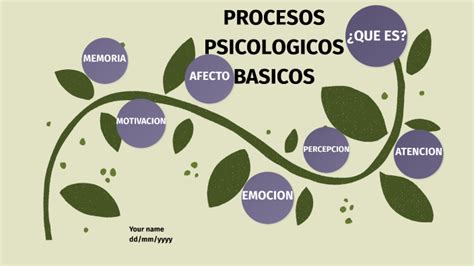 Procesos Psicologicos Basicos By Yadira Urrea