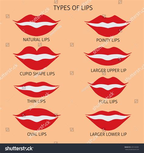 Types Woman Lips Flat Vector Illustration Stock Vector Royalty Free